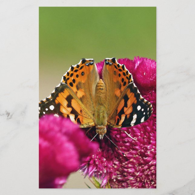 Painted Lady Butterfly Stationery (Front)