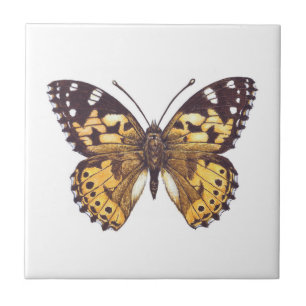 Painted lady butterfly tile