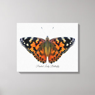 Painted Lady Butterfly Watercolor Painting Canvas  Print