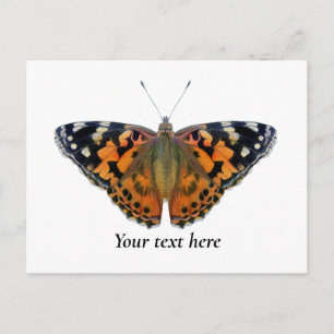 Painted Lady Butterfly Watercolor Painting Postcard