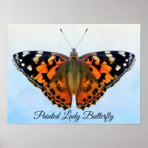 Painted Lady Butterfly Watercolor Painting Poster