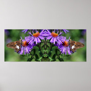 Painted Lady Butterfly Wildflower Mirror Abstract  Poster