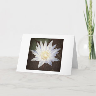 "PAINTED LOTUS" GREETING CARD
