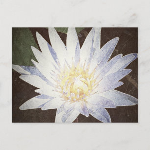 "PAINTED LOTUS" POSTCARD