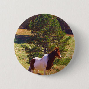 Painted Pony  by the Pine 2 Inch Round Button