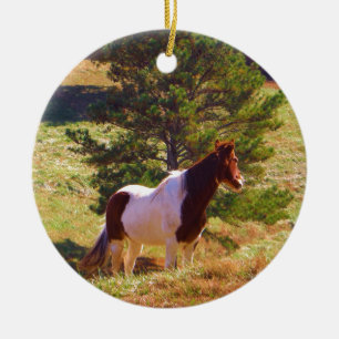 Painted Pony  by the Pine Ceramic Ornament