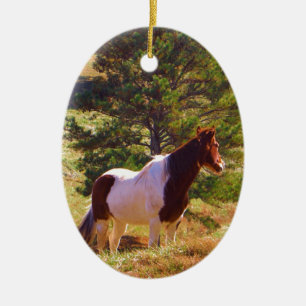 Painted Pony  by the Pine Ceramic Ornament