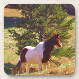 Painted Pony  by the Pine Coaster