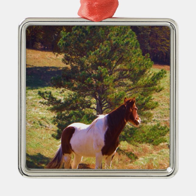 Painted Pony  by the Pine Metal Ornament (Front)