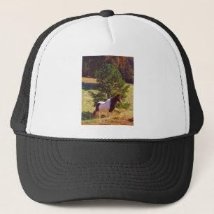 Painted Pony  by the Pine Trucker Hat