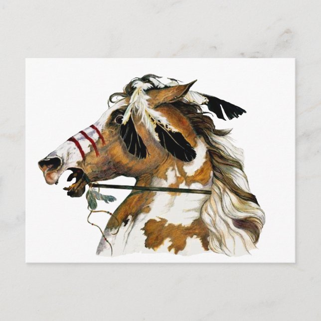Painted Pony Postcard (Front)
