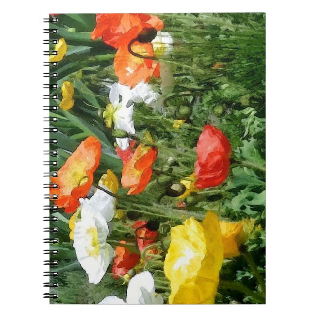 painted poppies notebook (Front)