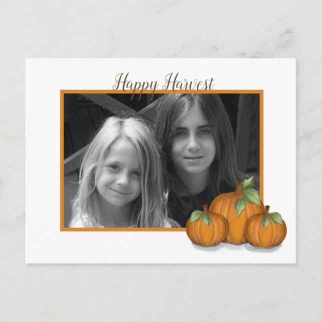 Painted Pumpkins  Holiday Postcard (Front)