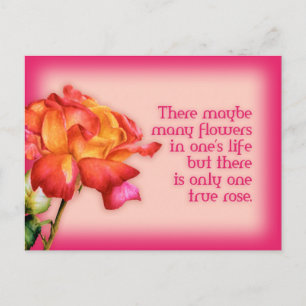Painted quote fine art rose postcard