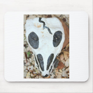 painted skull mouse pad