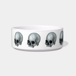 Painted Skull Pet Bowl