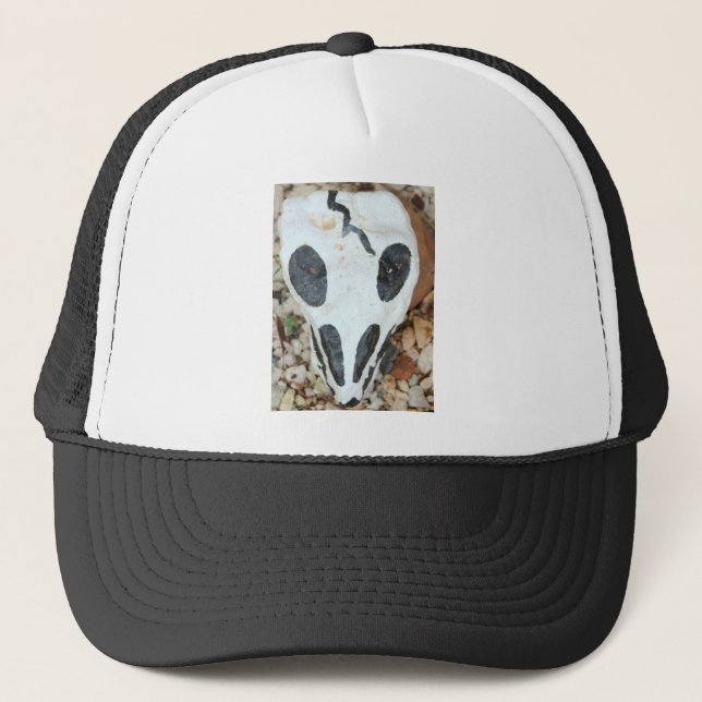 painted skull trucker hat (Front)