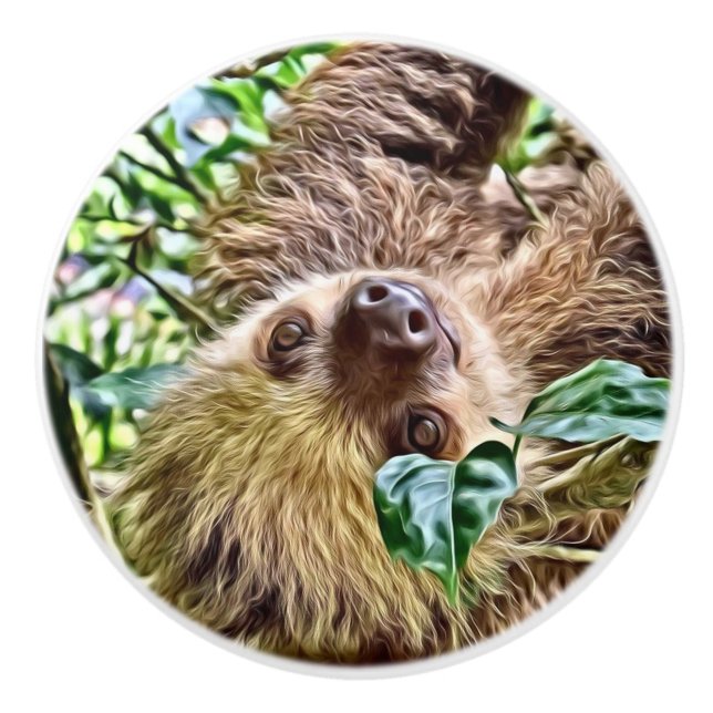 painted Sloth Ceramic Knob (Front)