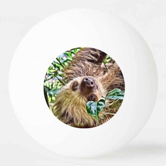 painted Sloth Ping Pong Ball (Front)