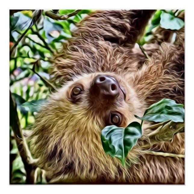 painted Sloth Poster (Front)