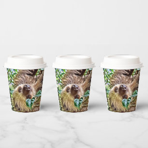 painted Sloth Square Paper Cups