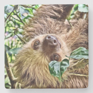 painted Sloth Stone Coaster