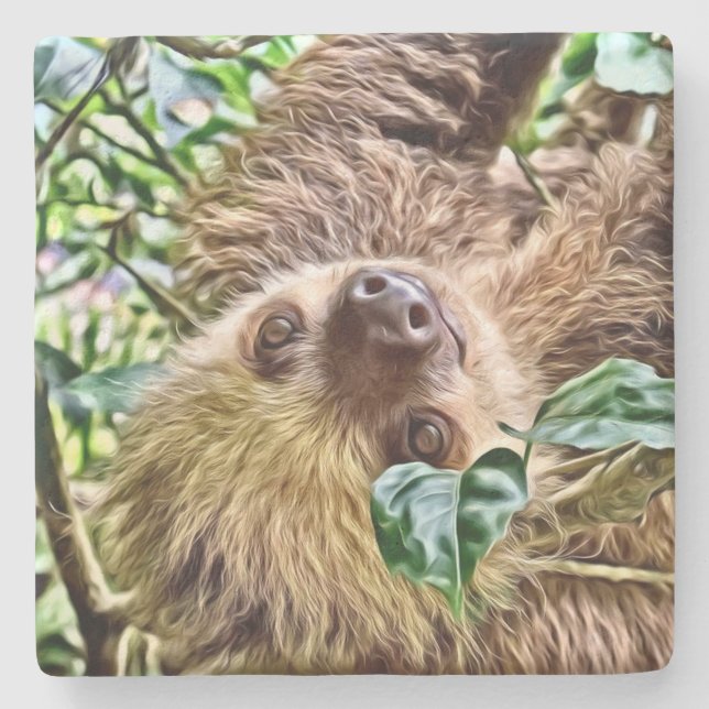 painted Sloth Stone Coaster (Front)