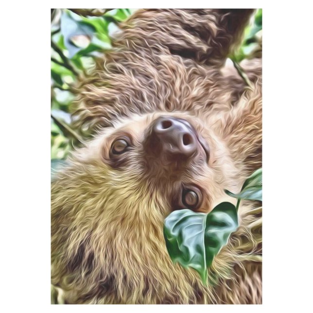 painted Sloth Tablecloth (Front)