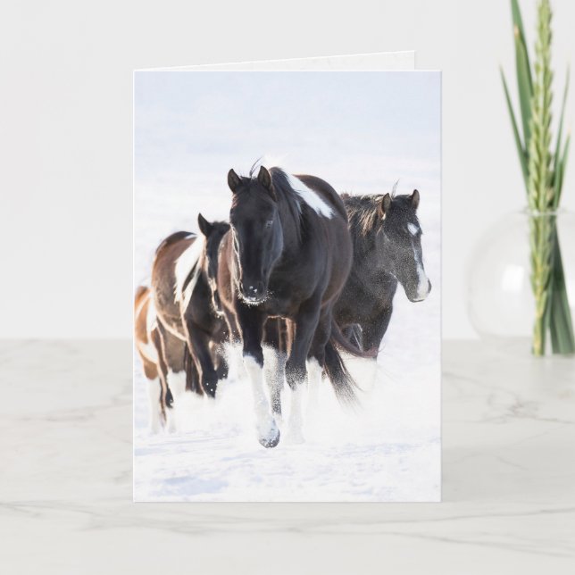"Painted Snow Day II" - Wild Horse Greeting Card (Front)