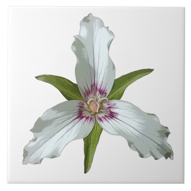 Painted Trillium Spring Wildflower Ceramic Tile (Front)