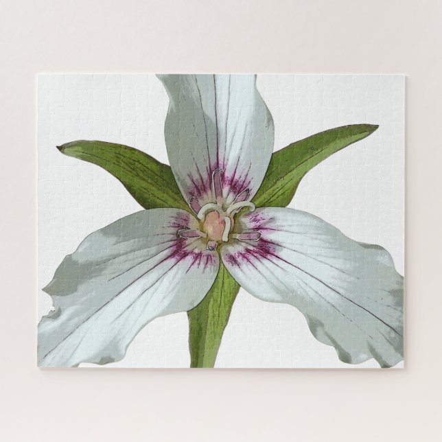 Painted Trillium Spring Wildflower Jigsaw Puzzle (Horizontal)