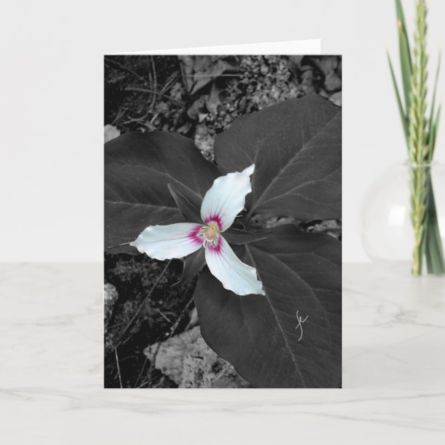 Painted Trillium Thank You Card (Front)