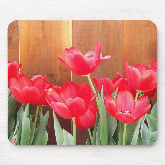 Painted Tulips Mouse Pad (Front)