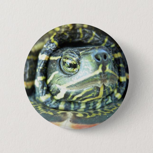 Painted Turtle (Chrysemys picta) 2 Inch Round Button (Front)