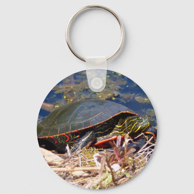 Painted Turtle (Chrysemys picta) 3 Keychain (Front)