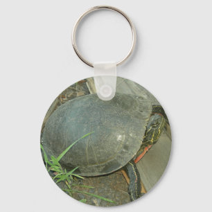 Painted Turtle (Chrysemys picta) Keychain