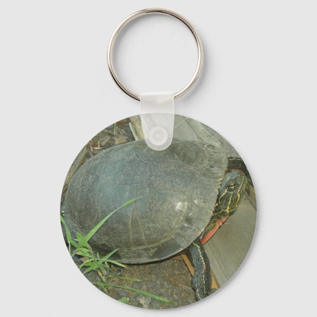 Painted Turtle (Chrysemys picta) Keychain (Front)