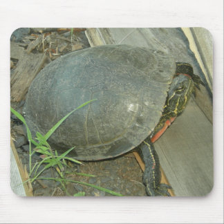 Painted Turtle (Chrysemys picta) Mouse Pad