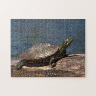 Painted turtle on a log jigsaw puzzle