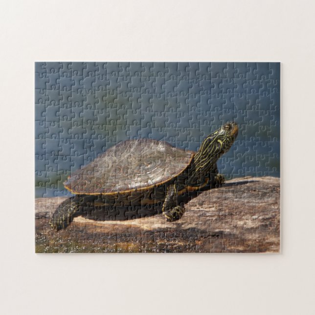 Painted turtle on a log jigsaw puzzle (Horizontal)