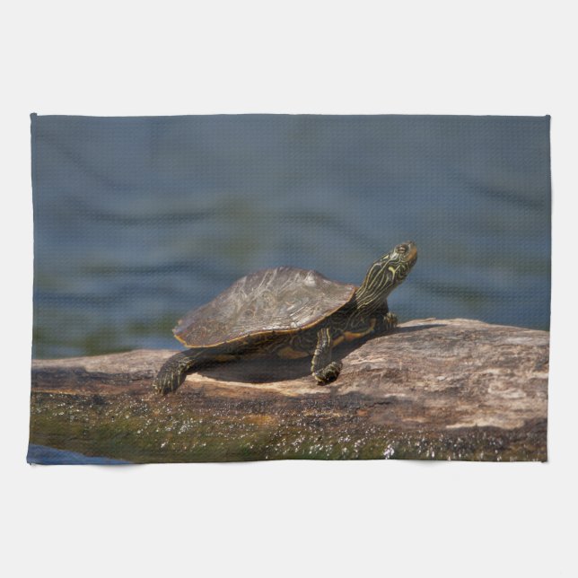 Painted turtle on a log kitchen towel (Horizontal)