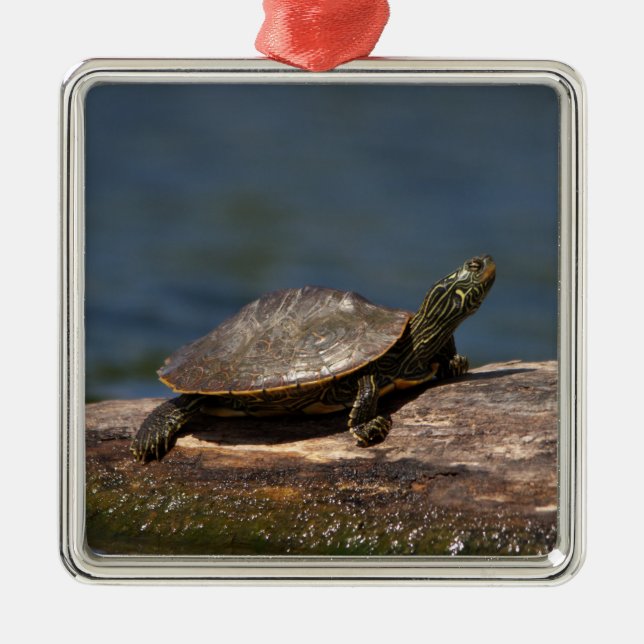 Painted turtle on a log metal ornament (Front)
