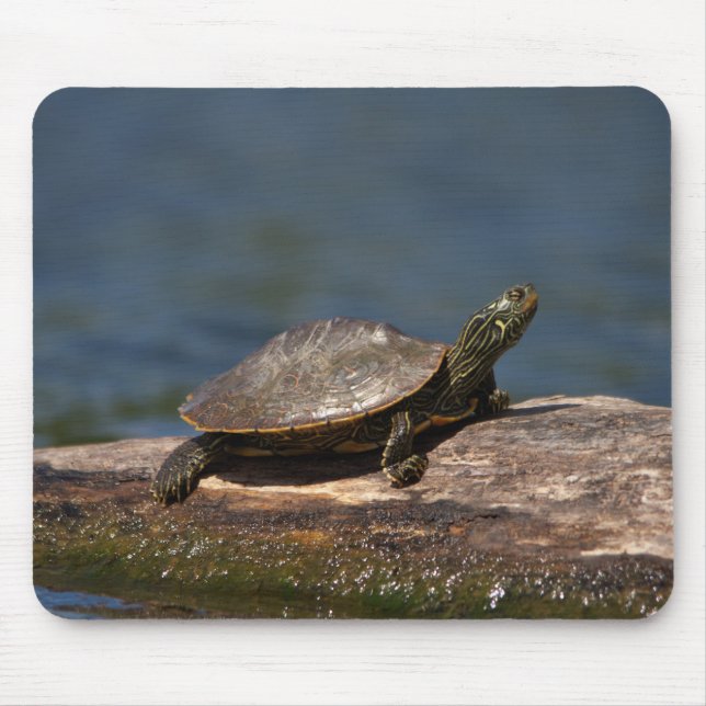 Painted turtle on a log mouse pad (Front)