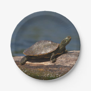 Painted turtle on a log paper plate
