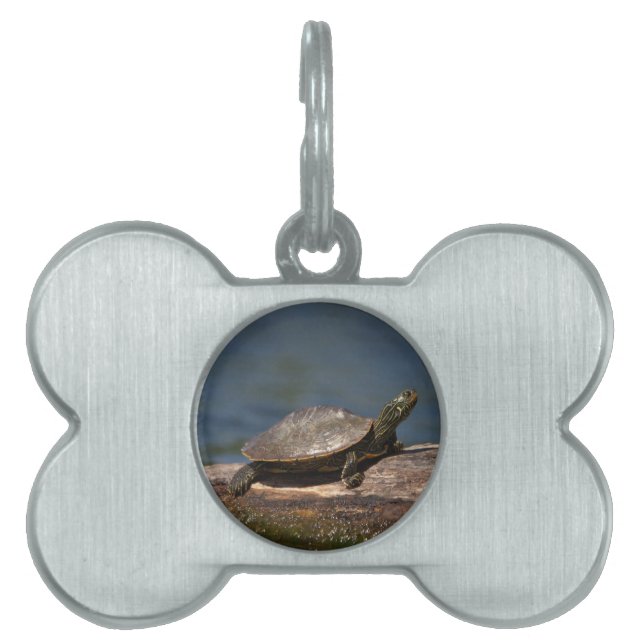 Painted turtle on a log pet tag (Front)