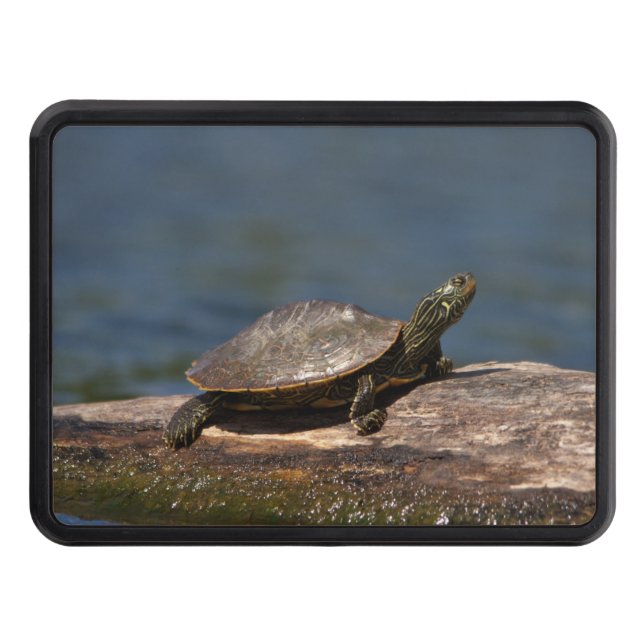 Painted turtle on a log trailer hitch cover (Front)