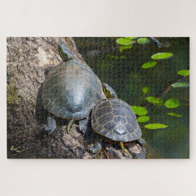 Painted Turtle Pair Jigsaw Puzzle (Horizontal)
