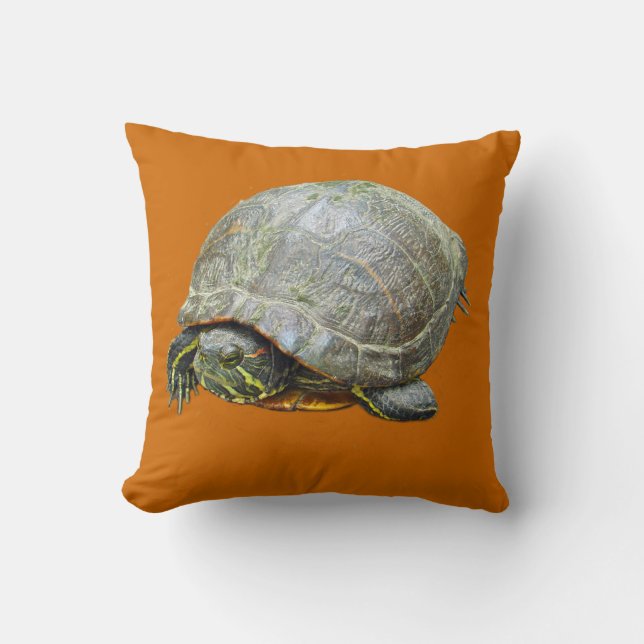 Painted Turtle Pillow (Front)