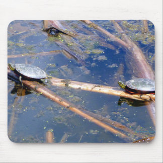 Painted Turtles (Chrysemys picta) Mouse Pad