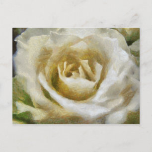 Painted White Rose Postcard